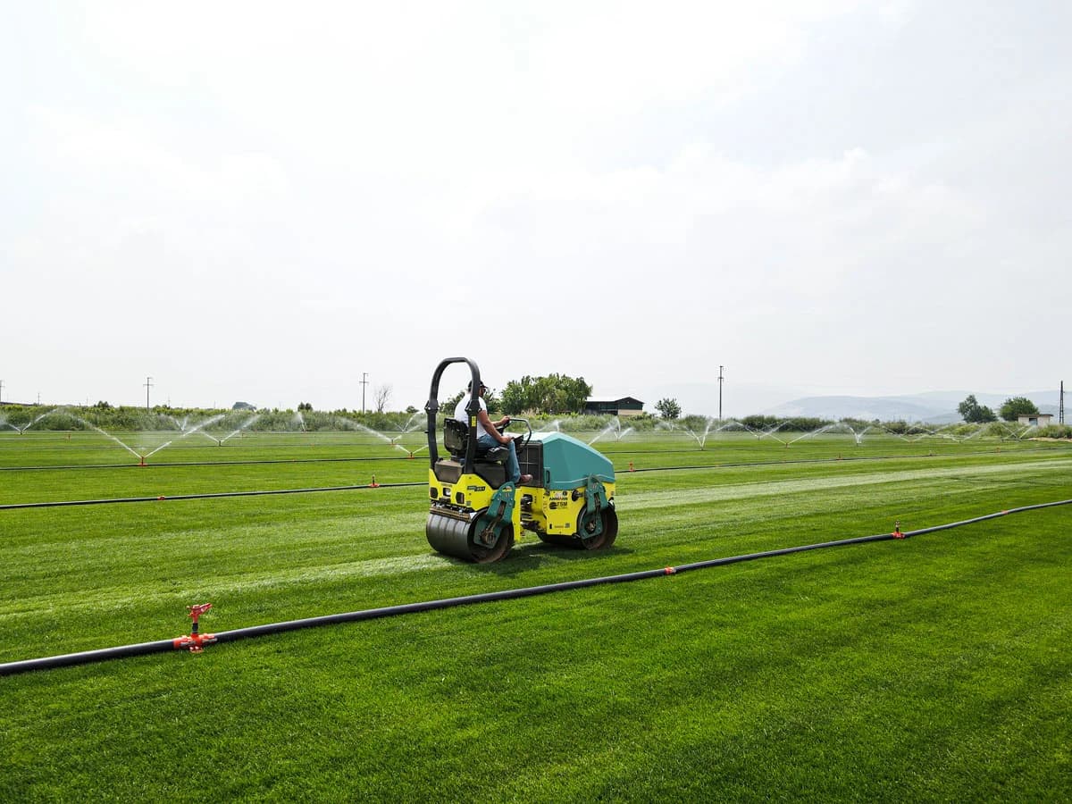 arx_23.1-2_strengthen_natural_turf_turkey_01_230822.jpg